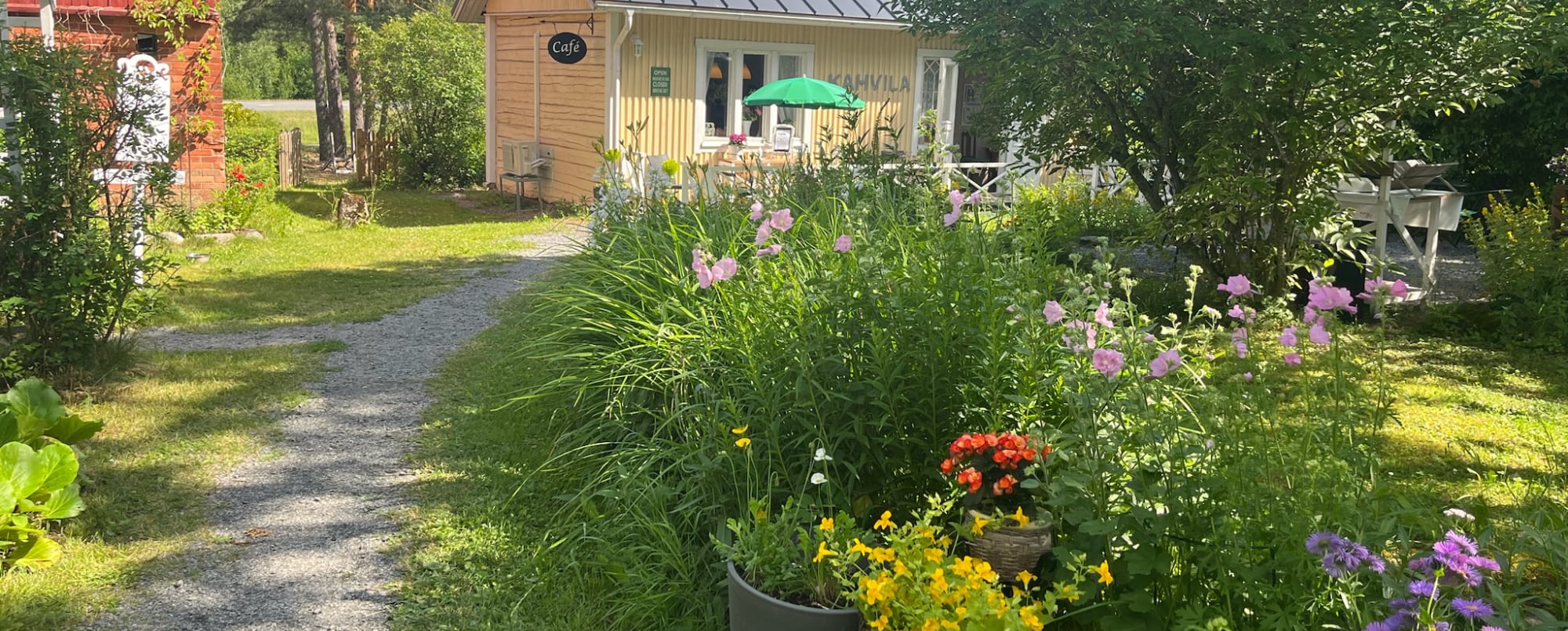 Aurora Template by BLOCS PREMIUM