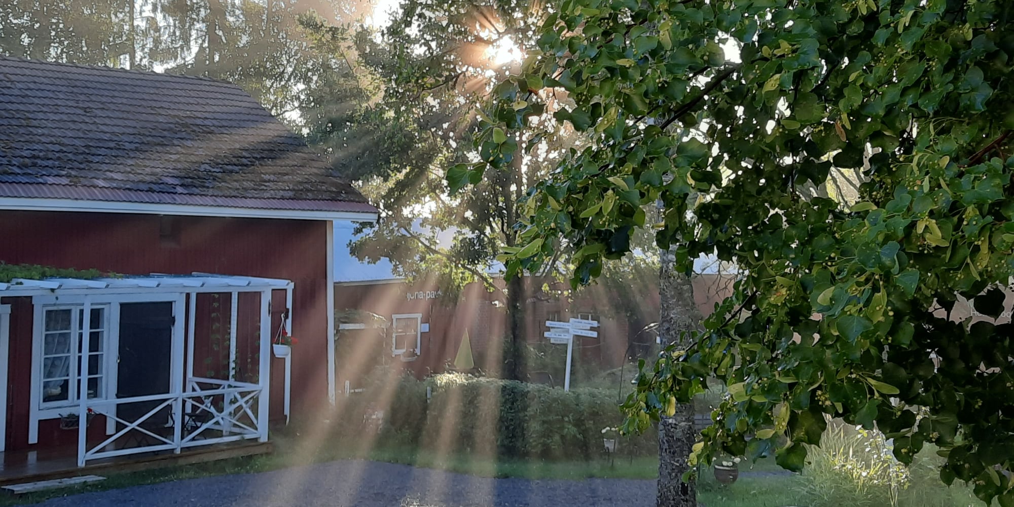 Aurora Template by BLOCS PREMIUM